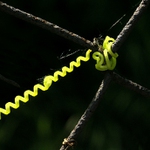 Spirála.