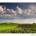 ... aneb podvečerní surfovačka trochu jinak :)