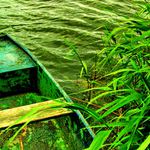 Rákosofka aneb Tam za vodou... ;)