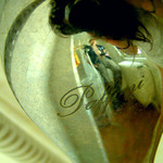 Koupelnofka aneb Foť jestli  se zmůžeš!