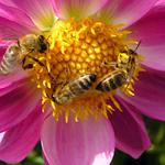 Do práce.. máme skluz!