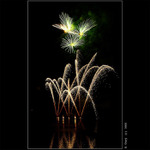 Kytičky nad přehradou