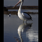 ~ Velký  a  malý ~