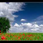 Tekov - neďaleko Kalnej nad Hronom