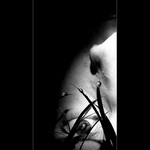 Tichá a zlá myšlenka