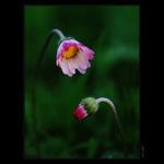 .. intimní rozhovory ..