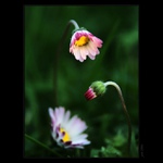 .. intimní rozhovory II ..