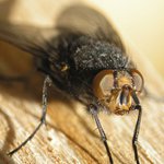 Chvíle soustředění před startem