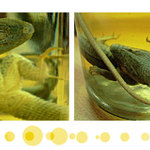 The Bold And The Beautiful