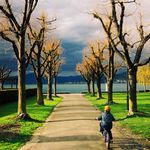 Skřítkova cesta do bouře