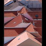Linie
