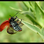 ...už musím ísť....