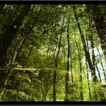 cesta do praveku (I)