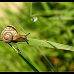 Ranné prebúdzanie...