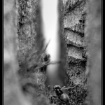 Po svojich ,ale ťažko ...