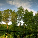 Bez rybáře a poslední...