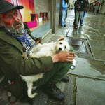 canis vagantis