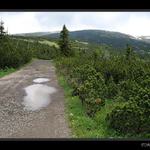 krkonoše v červenci