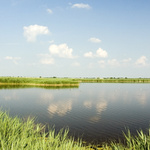 Leto okolo Neusiedleru II