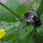 Tak to už asi nerozlítá...