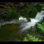 Černohorský potok II.