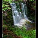 Černohorský potok III.