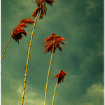 sem se probral u vody