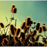 sem se probral u vody II