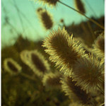 sem se probral u vody III