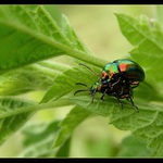 ...už nevládzem...