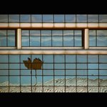 Zakrivenie priestorocasu