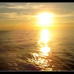 Good bye...