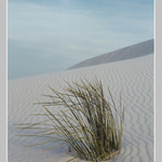 White Sands 1