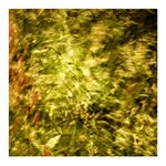 ***ŽIVOT A NADĚJE***