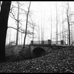 Návraty do veltruského parku XV/C