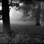 Návraty do veltruského parku XVI - u platanu II.