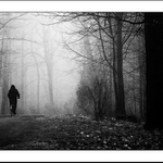 Návraty do veltruského parku XVII - cesta za světlem