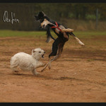 ...A TEĎ TĚ SEŽERU!