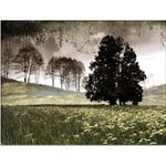 Imaginární  krajina