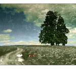 Imaginární krajina