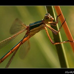 tak ještě jedna...