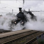 Parní vláček v Petrovicích