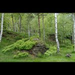 Jaro v Tiských stěnách