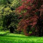 Pozdní odpoledne U luže