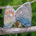 Milujte se s množte se!