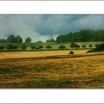 ..:: pozastavenÍ ::..