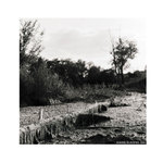 Ostravská příroda