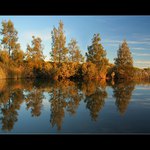 Odrazy pozdního odpoledne