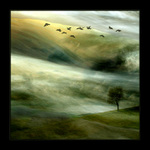 ...holubi zprávy nesou...