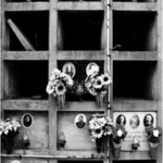 O životě po životě III.